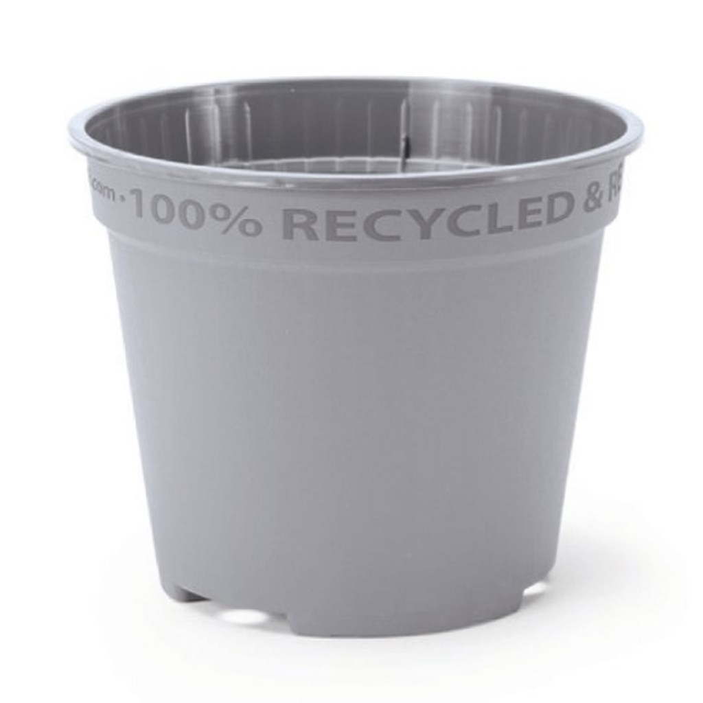 VASO QUICK NIR D-TECT - Ø CM 14 - COLORE GRIGIO
